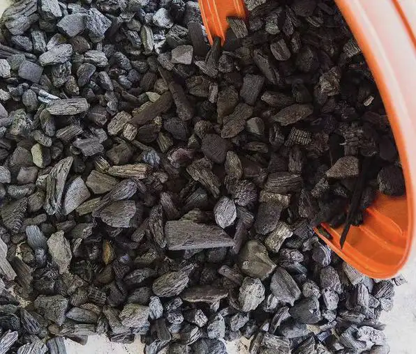 Benefits of Charcoal in Gardening