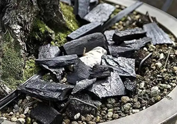 Effective Charcoal Use