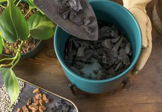 Fertilizer Efficiency with Charcoal