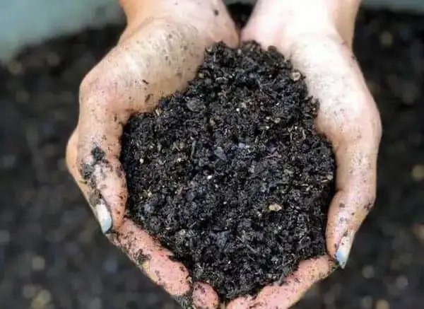 Using Charcoal in Soil Amendment